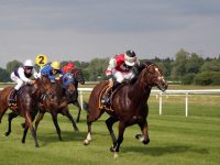 Simple Tips to Win Your Horse Racing
